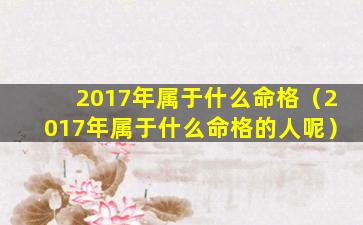 2017年属于什么命格（2017年属于什么命格的人呢）