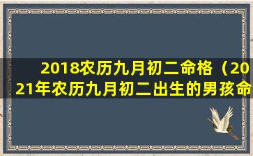 2018农历九月初二命格（2021年农历九月初二出生的男孩命运）