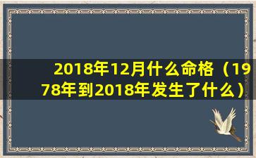 2018年12月什么命格（1978年到2018年发生了什么）