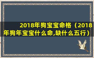 2018年狗宝宝命格（2018年狗年宝宝什么命,缺什么五行）