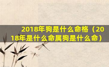 2018年狗是什么命格（2018年是什么命属狗是什么命）