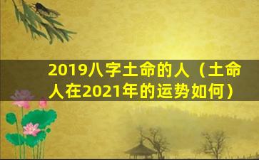 2019八字土命的人（土命人在2021年的运势如何）