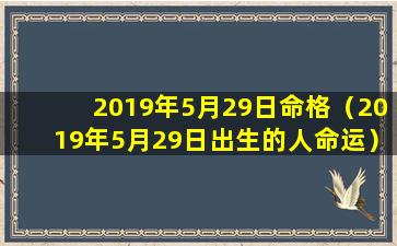 2019年5月29日命格（2019年5月29日出生的人命运）