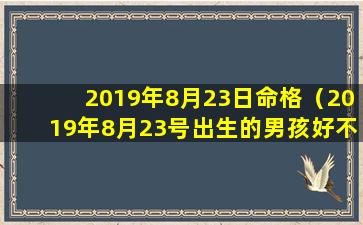 2019年8月23日命格（2019年8月23号出生的男孩好不好）