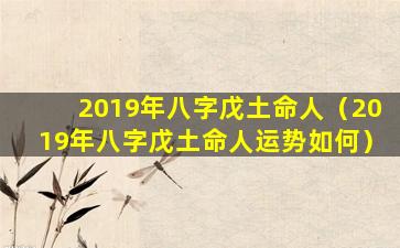 2019年八字戊土命人（2019年八字戊土命人运势如何）