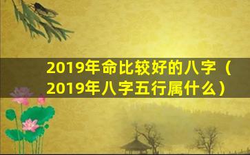 2019年命比较好的八字（2019年八字五行属什么）