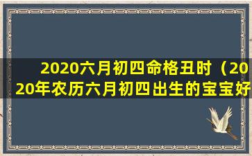 2020六月初四命格丑时（2020年农历六月初四出生的宝宝好不好）