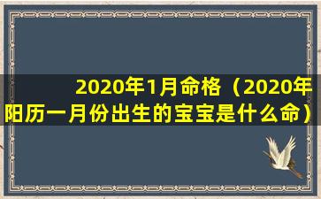 2020年1月命格（2020年阳历一月份出生的宝宝是什么命）