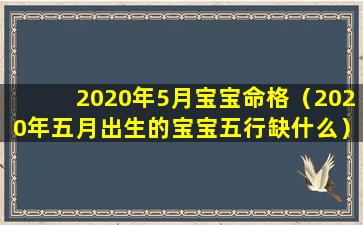 2020年5月宝宝命格（2020年五月出生的宝宝五行缺什么）