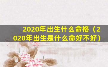 2020年出生什么命格（2020年出生是什么命好不好）