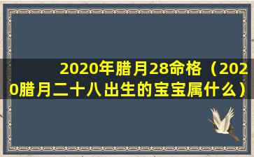 2020年腊月28命格（2020腊月二十八出生的宝宝属什么）