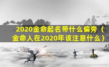 2020金命起名带什么偏旁（金命人在2020年该注意什么）