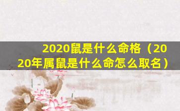 2020鼠是什么命格（2020年属鼠是什么命怎么取名）