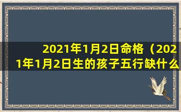 2021年1月2日命格（2021年1月2日生的孩子五行缺什么）