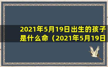 2021年5月19日出生的孩子是什么命（2021年5月19日出生的孩子是什么命运）