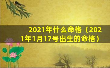 2021年什么命格（2021年1月17号出生的命格）