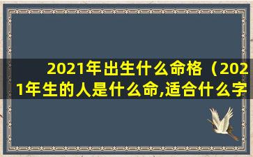 2021年出生什么命格（2021年生的人是什么命,适合什么字取名）