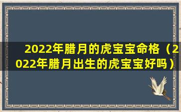 2022年腊月的虎宝宝命格（2022年腊月出生的虎宝宝好吗）