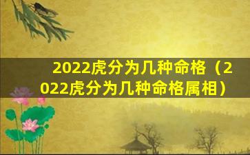 2022虎分为几种命格（2022虎分为几种命格属相）