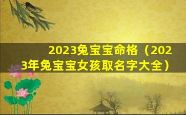 2023兔宝宝命格（2023年兔宝宝女孩取名字大全）