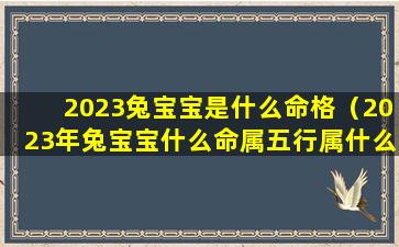 2023兔宝宝是什么命格（2023年兔宝宝什么命属五行属什么）