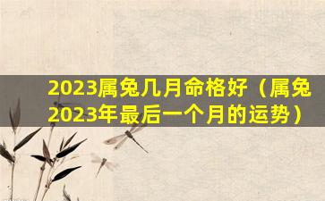 2023属兔几月命格好（属兔2023年最后一个月的运势）