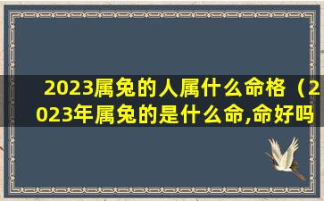 2023属兔的人属什么命格（2023年属兔的是什么命,命好吗）