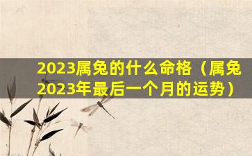 2023属兔的什么命格（属兔2023年最后一个月的运势）