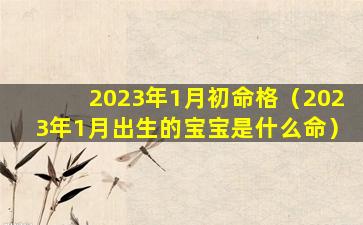 2023年1月初命格（2023年1月出生的宝宝是什么命）