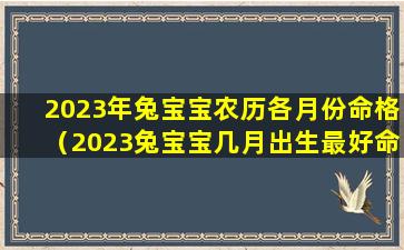 2023年兔宝宝农历各月份命格（2023兔宝宝几月出生最好命2021年）