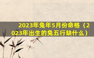 2023年兔年5月份命格（2023年出生的兔五行缺什么）