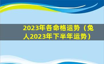 2023年各命格运势（兔人2023年下半年运势）