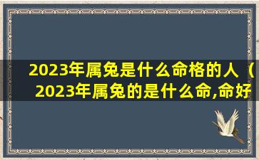 2023年属兔是什么命格的人（2023年属兔的是什么命,命好吗）