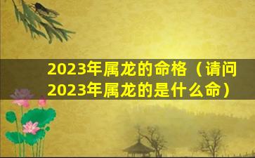 2023年属龙的命格（请问2023年属龙的是什么命）