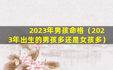 2023年男孩命格（2023年出生的男孩多还是女孩多）