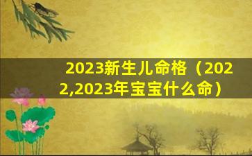 2023新生儿命格（2022,2023年宝宝什么命）