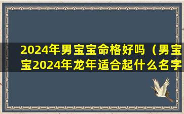 2024年男宝宝命格好吗（男宝宝2024年龙年适合起什么名字）