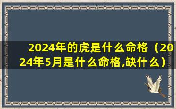 2024年的虎是什么命格（2024年5月是什么命格,缺什么）