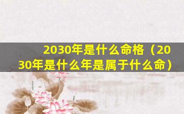 2030年是什么命格（2030年是什么年是属于什么命）