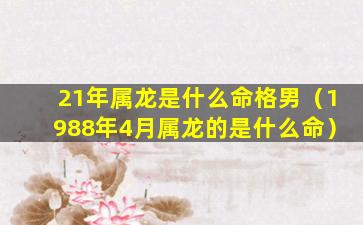 21年属龙是什么命格男（1988年4月属龙的是什么命）