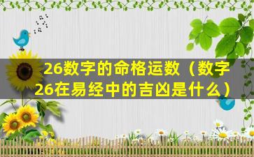 26数字的命格运数（数字26在易经中的吉凶是什么）