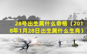 28号出生属什么命格（2018年1月28日出生属什么生肖）