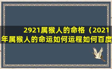 2921属猴人的命格（2021年属猴人的命运如何运程如何百度一下）