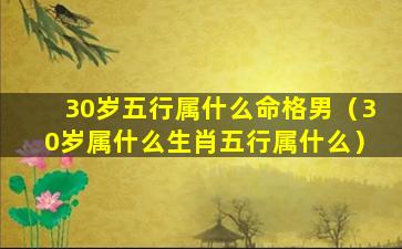 30岁五行属什么命格男（30岁属什么生肖五行属什么）