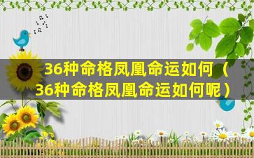 36种命格凤凰命运如何（36种命格凤凰命运如何呢）