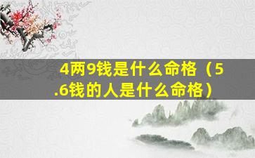 4两9钱是什么命格（5.6钱的人是什么命格）