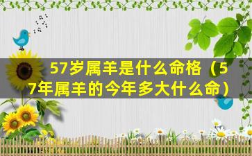 57岁属羊是什么命格（57年属羊的今年多大什么命）