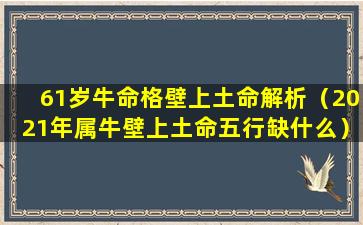 61岁牛命格壁上土命解析（2021年属牛壁上土命五行缺什么）