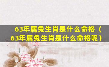 63年属兔生肖是什么命格（63年属兔生肖是什么命格呢）