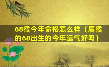 68猴今年命格怎么样（属猴的68出生的今年运气好吗）